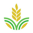 Wacot Rice Limited