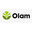 Olam